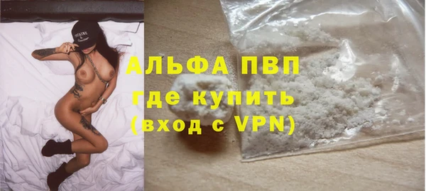 сатива Краснотурьинск
