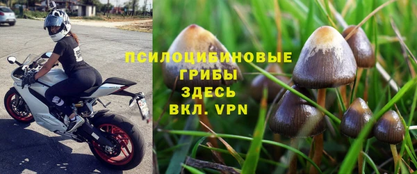 сатива Краснотурьинск