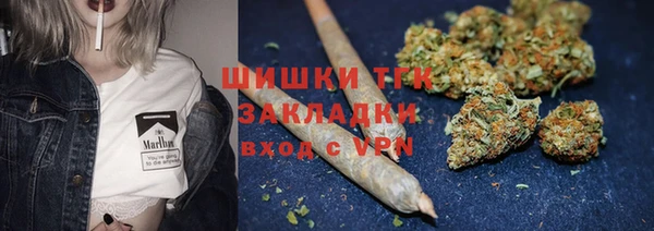 дурь Краснослободск