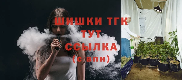 сатива Краснотурьинск