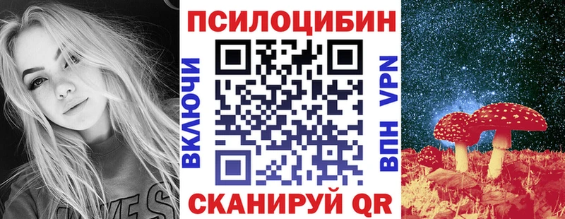 Купить где  Нариманов  Галлюциногенные грибы GOLDEN TEACHER 